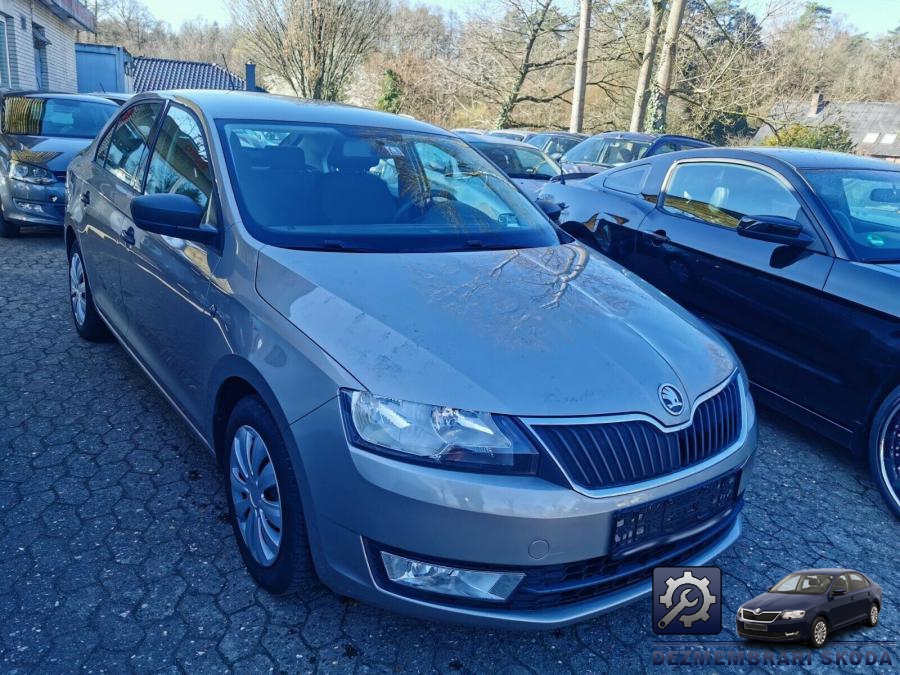 Arcuri skoda rapid 2015